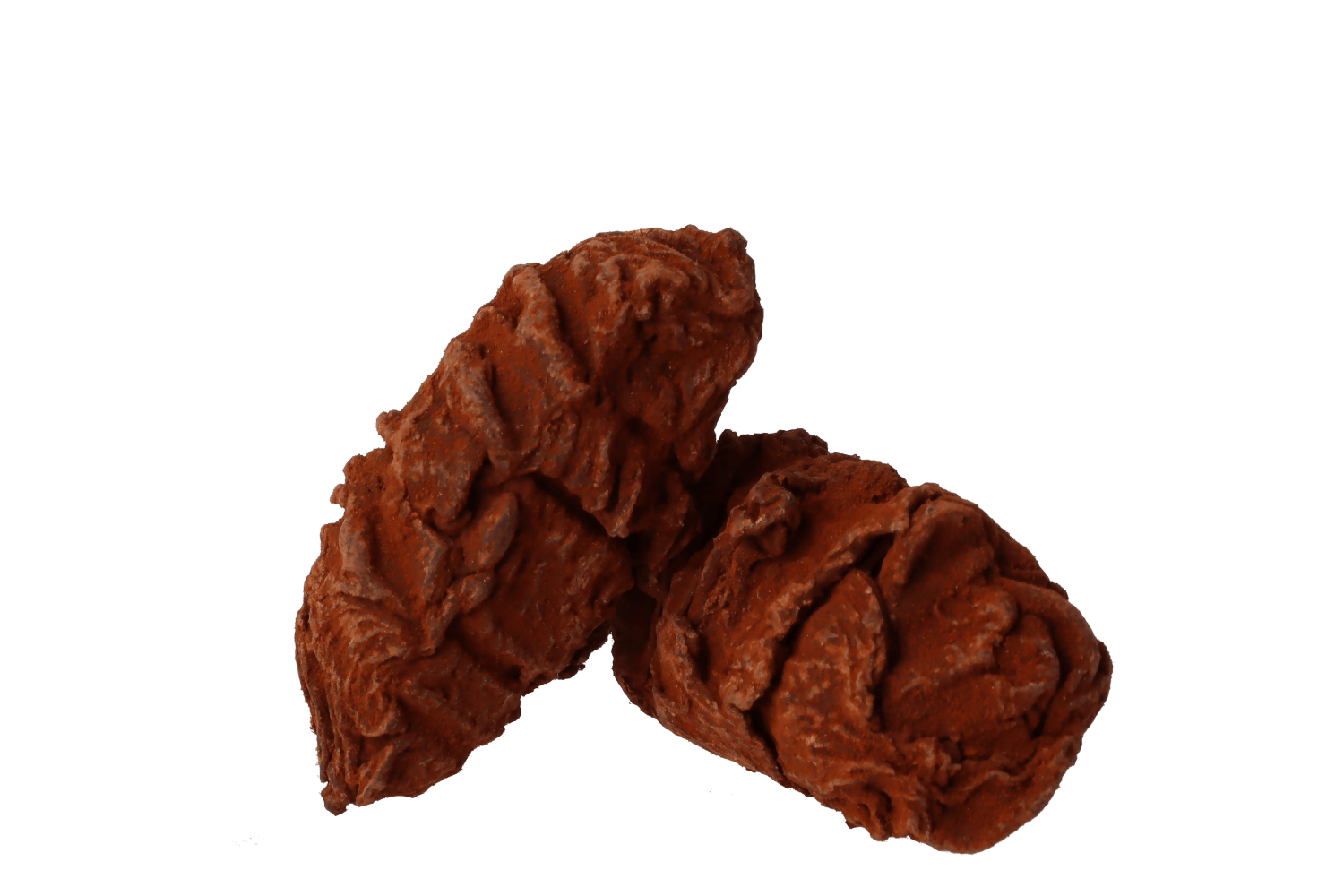 Grand Cru Rum-Tannenzapfentrüffel handgerollt Grand Cru Rum-Tannenzapfentrüffel handgerollt